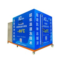 -80°C Cascade Refrigeration Unit