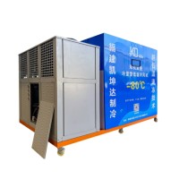 -80°C Cascade Refrigeration Unit